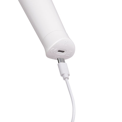 LE WAND CLASSIQUE PETITE WAND MASSAGER