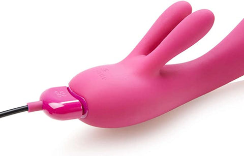 Vibrateur 