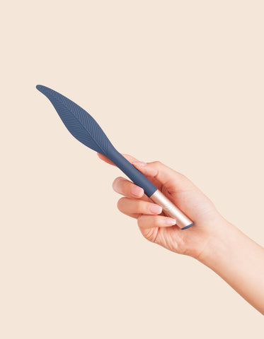 Vibrateur 
