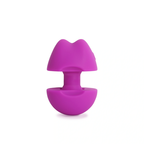 Vibrateur 