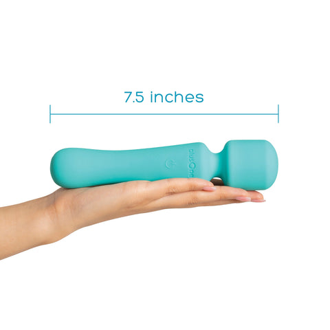 Vibrateur baguette