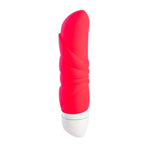 Mini-vibrateur 