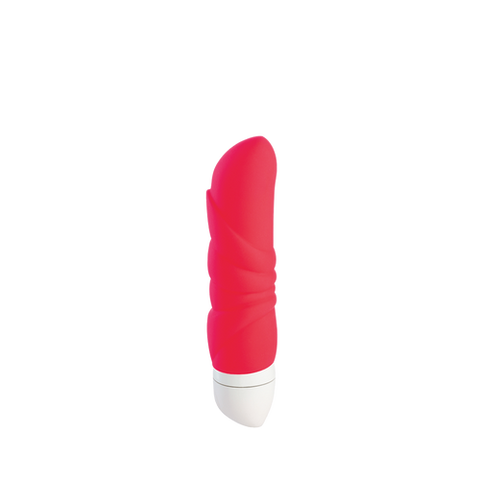 Mini-vibrateur 