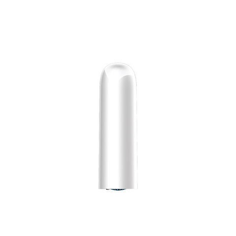 Vibrateur 