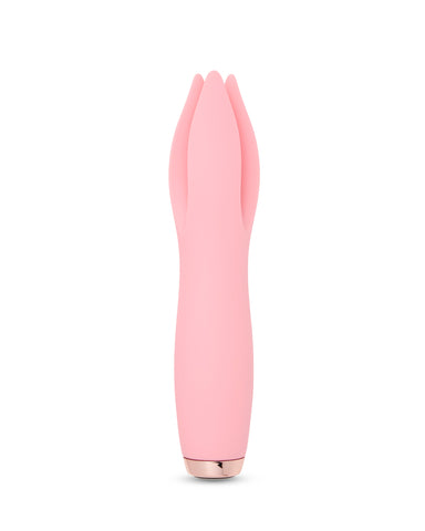 Vibrateur 