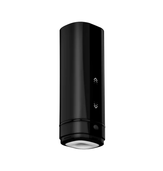 Masturbateur interactif automatique 